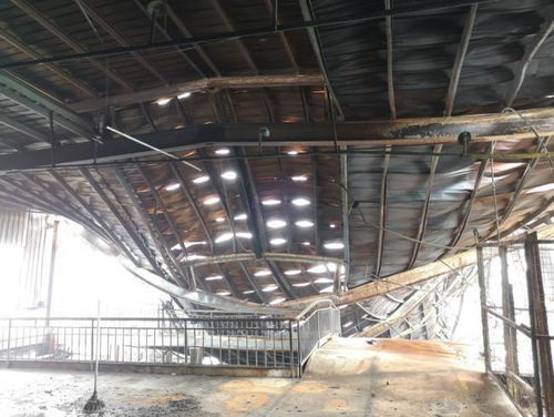 火災(zāi)后重建指南 電路修復(fù)、房屋重建與康復(fù)輔具支持